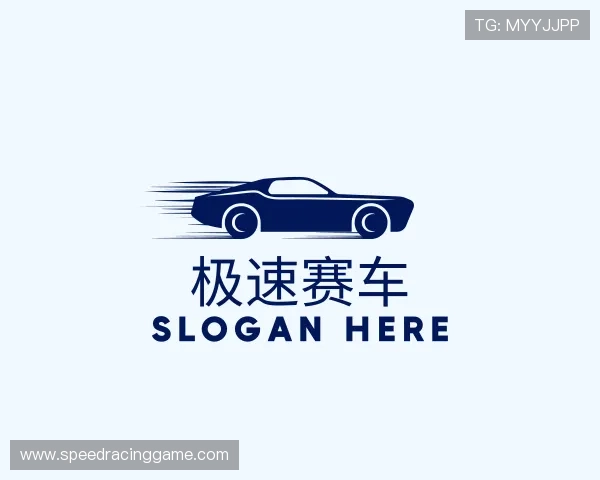 介绍极速赛车集团